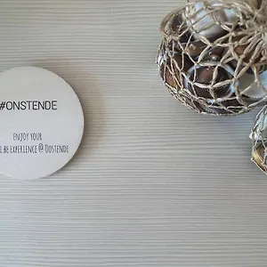Luxe Met Adembenemend Uitzicht Op Zee , Ostende Belgique